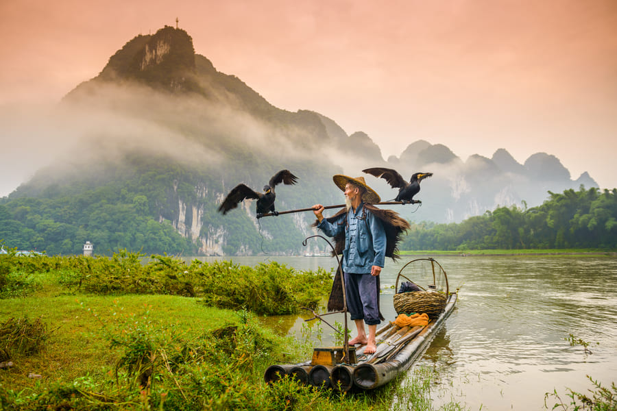 Un pescador tradicional sostiene una vara de madera con dos cormoranes posados en los extremos, sobre una balsa de bambú en rio con grandes montañas neblinosas de fondo.